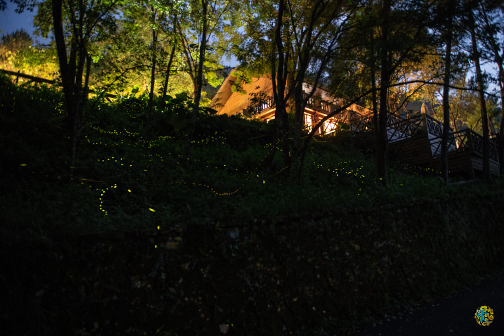 谷關民宿推薦》台中商旅台中八仙山莊 - 螢河與銀河圍繞的渡假小木屋 - 時空幻境 凌雲江海清