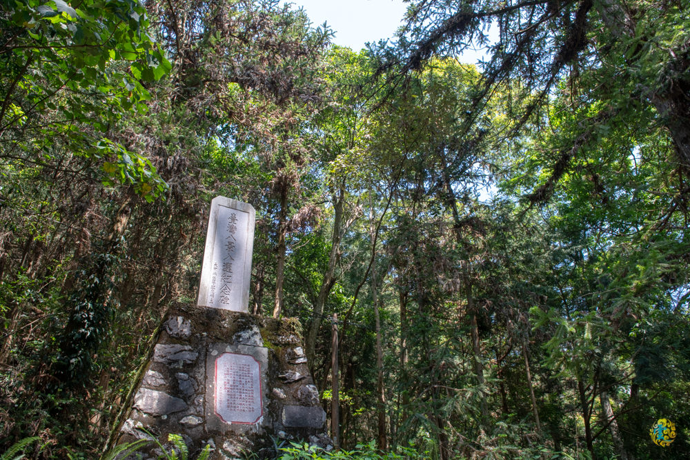 谷關民宿推薦》台中商旅台中八仙山莊 - 螢河與銀河圍繞的渡假小木屋 - 時空幻境 凌雲江海清