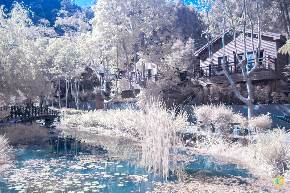 谷關民宿推薦》台中商旅台中八仙山莊 - 螢河與銀河圍繞的渡假小木屋 - 時空幻境 凌雲江海清