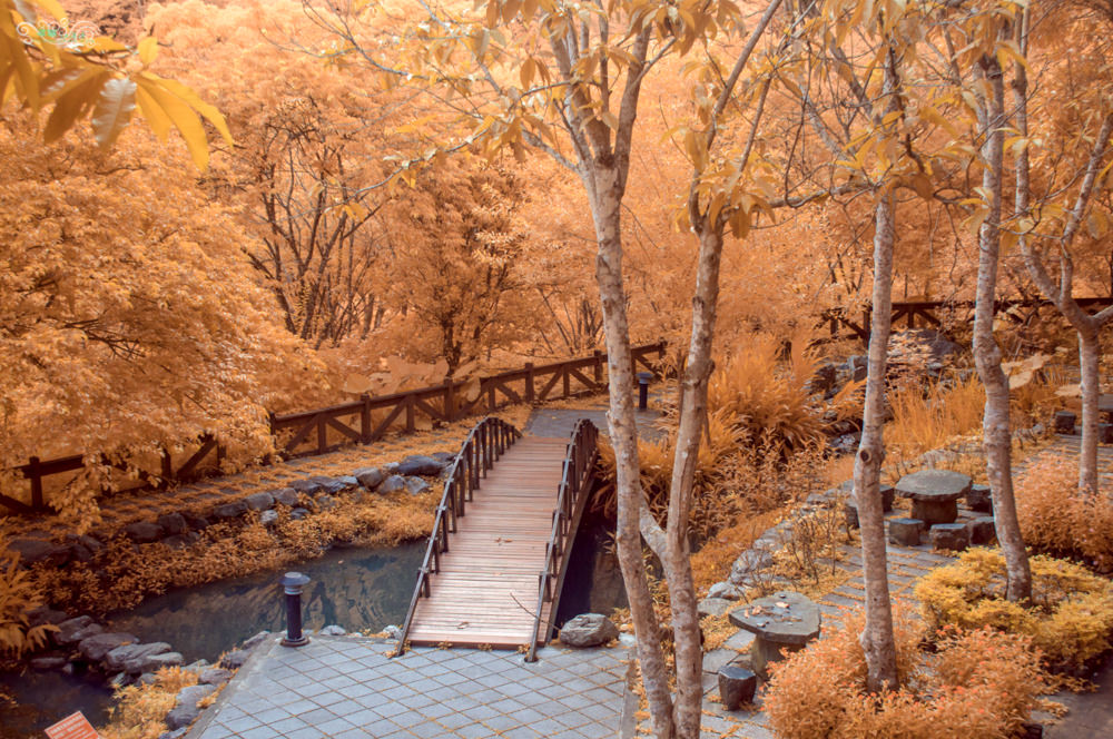 谷關民宿推薦》台中商旅台中八仙山莊 - 螢河與銀河圍繞的渡假小木屋 - 時空幻境 凌雲江海清