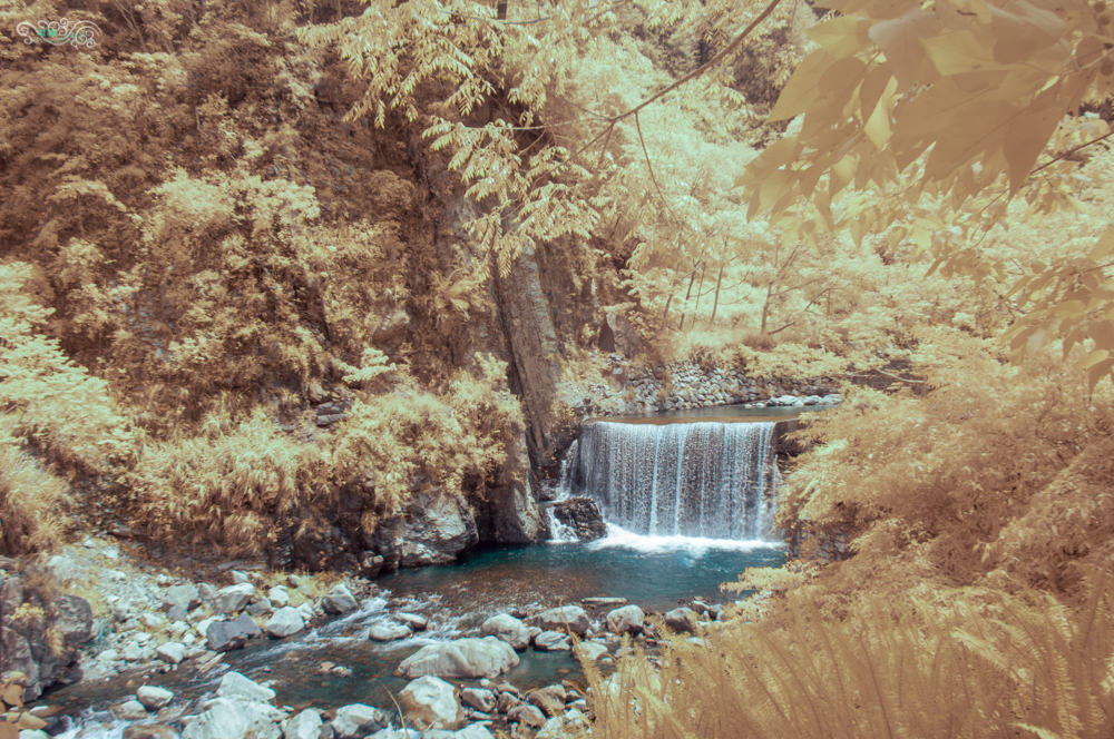 谷關民宿推薦》台中商旅台中八仙山莊 - 螢河與銀河圍繞的渡假小木屋 - 時空幻境 凌雲江海清