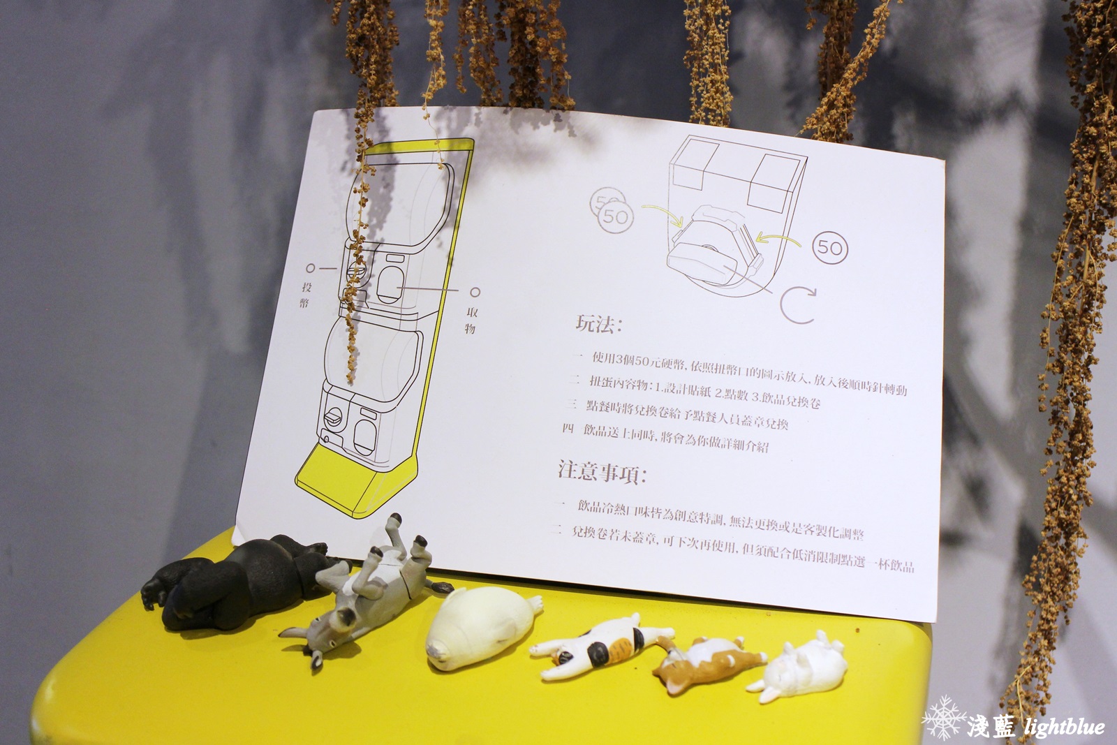 [ 圓山站美食 ] 淺藍 × Gacha Gacha 轉咖啡～讓扭蛋幫你決定今天喝什麼（免費wifi插座不限時）