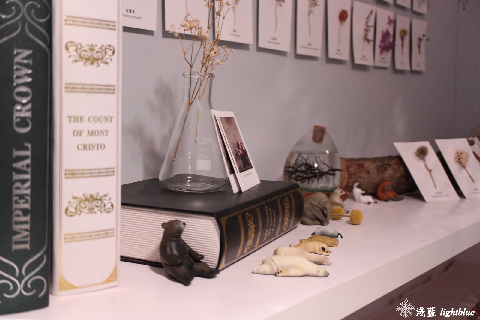 [ 圓山站美食 ] 淺藍 × Gacha Gacha 轉咖啡～讓扭蛋幫你決定今天喝什麼（免費wifi插座不限時）