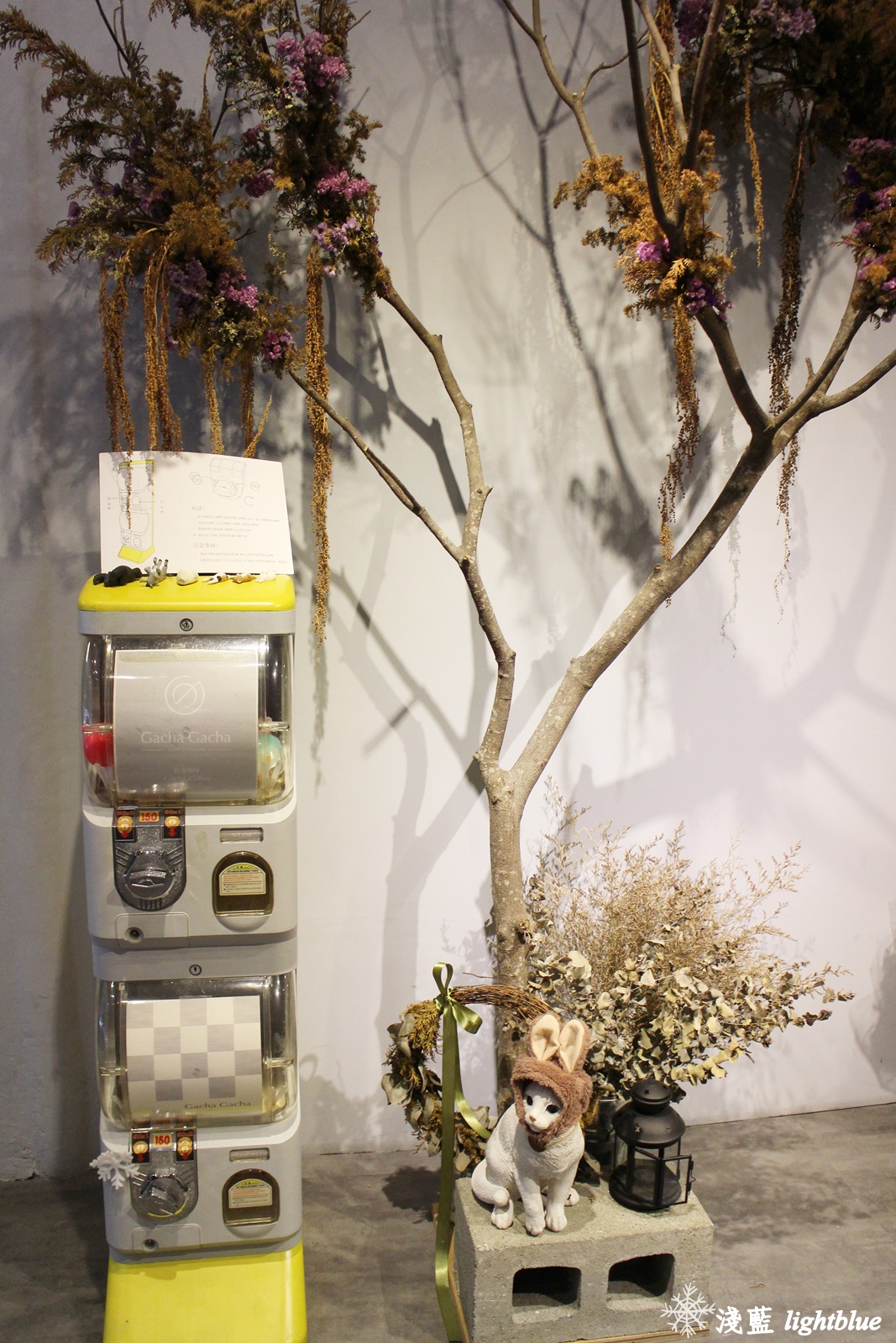 [ 圓山站美食 ] 淺藍 × Gacha Gacha 轉咖啡～讓扭蛋幫你決定今天喝什麼（免費wifi插座不限時）