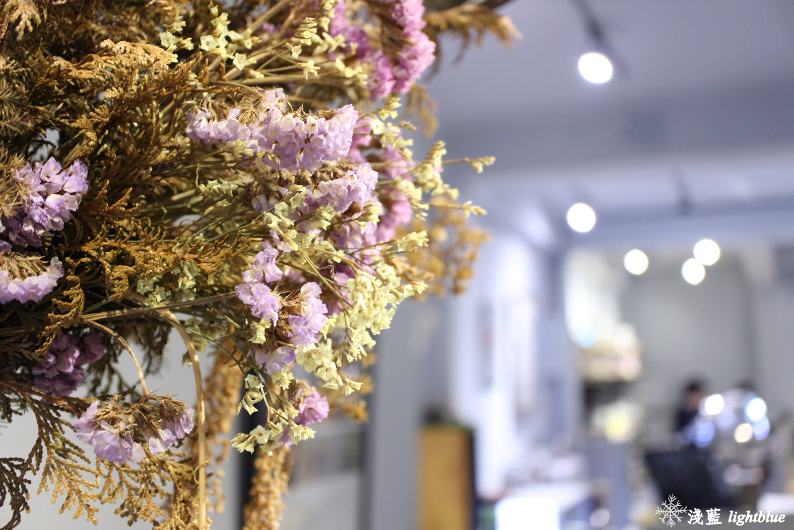 [ 圓山站美食 ] 淺藍 × Gacha Gacha 轉咖啡～讓扭蛋幫你決定今天喝什麼（免費wifi插座不限時）