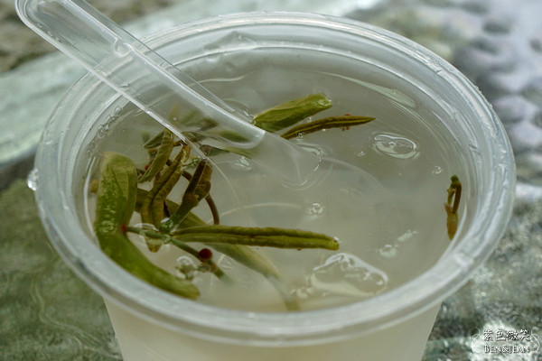 宜蘭員山雙連埤秘境!彩燕在地美食必吃紅麴白斬雞、獨特蓴菜料理。