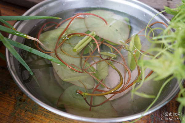 宜蘭員山雙連埤秘境!彩燕在地美食必吃紅麴白斬雞、獨特蓴菜料理。