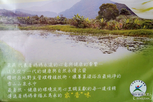 宜蘭員山雙連埤秘境!彩燕在地美食必吃紅麴白斬雞、獨特蓴菜料理。