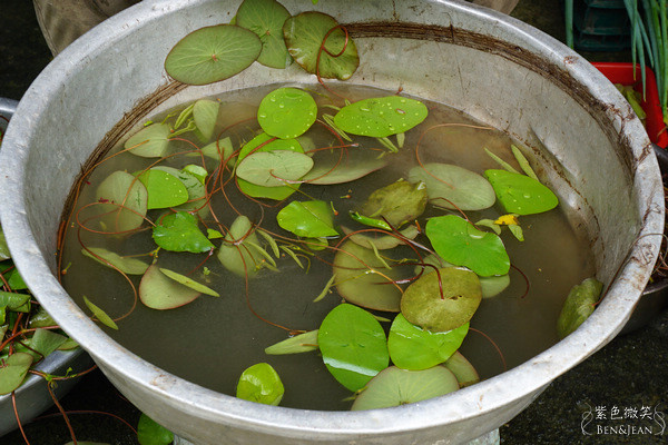 宜蘭員山雙連埤秘境!彩燕在地美食必吃紅麴白斬雞、獨特蓴菜料理。