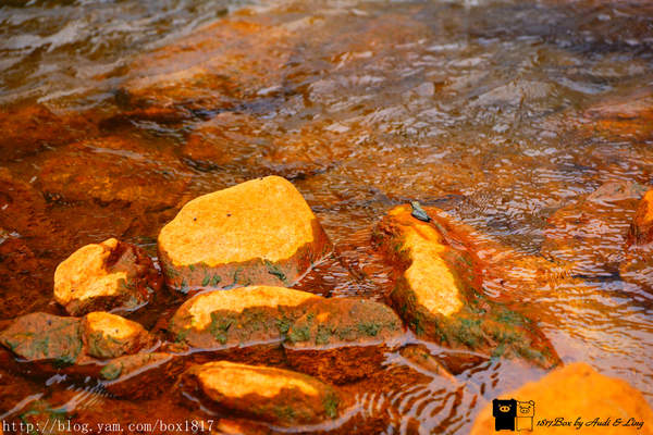 【南投。仁愛】精英瀑布。攔沙壩。野溪溫泉。精英溫泉。塔羅灣溪