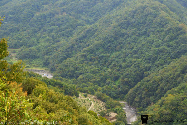 【南投。仁愛】野溪溫泉。精英溫泉。塔羅灣溪。情人吊橋