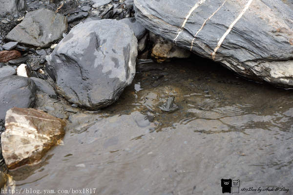 【南投。仁愛】野溪溫泉。精英溫泉。塔羅灣溪。情人吊橋