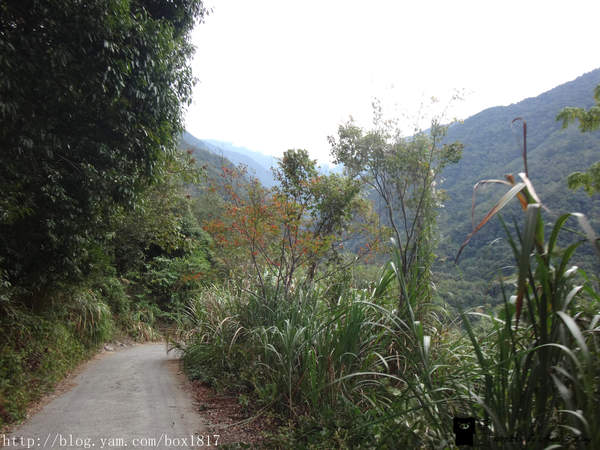 【南投。仁愛】野溪溫泉。精英溫泉。塔羅灣溪。情人吊橋