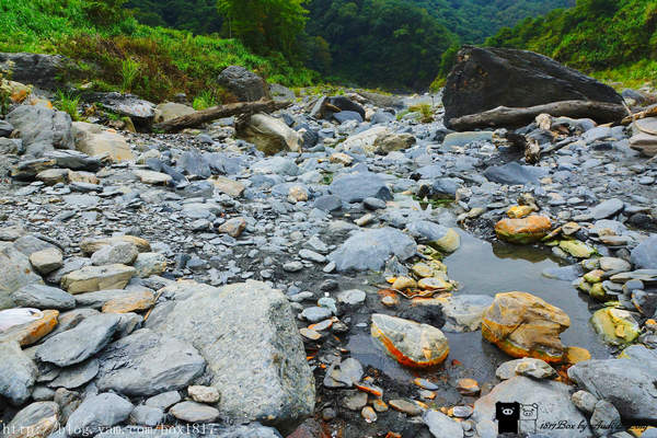 【南投。仁愛】野溪溫泉。精英溫泉。塔羅灣溪。情人吊橋