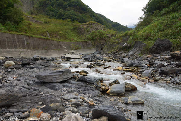 【南投。仁愛】野溪溫泉。精英溫泉。塔羅灣溪。情人吊橋