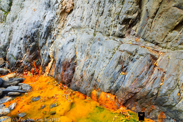 【南投。仁愛】精英瀑布。攔沙壩。野溪溫泉。精英溫泉。塔羅灣溪