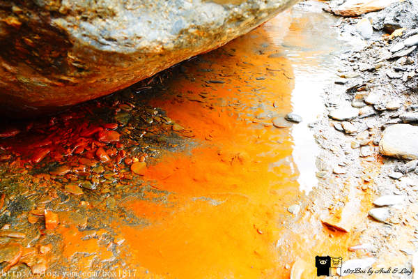 【南投。仁愛】野溪溫泉。精英溫泉。塔羅灣溪。情人吊橋