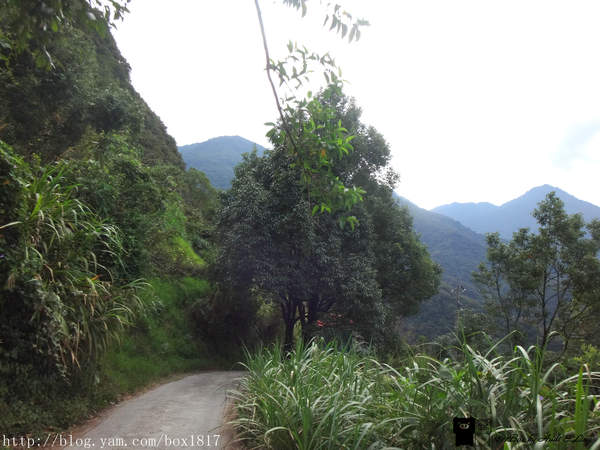 【南投。仁愛】野溪溫泉。精英溫泉。塔羅灣溪。情人吊橋