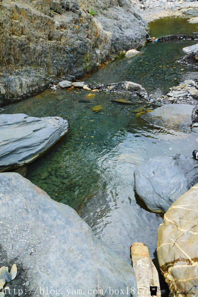 【南投。仁愛】野溪溫泉。精英溫泉。塔羅灣溪。情人吊橋