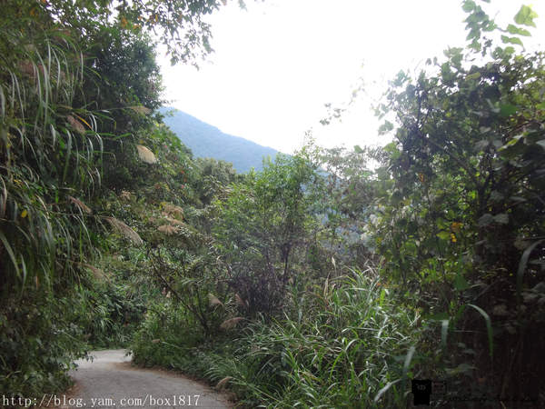 【南投。仁愛】野溪溫泉。精英溫泉。塔羅灣溪。情人吊橋