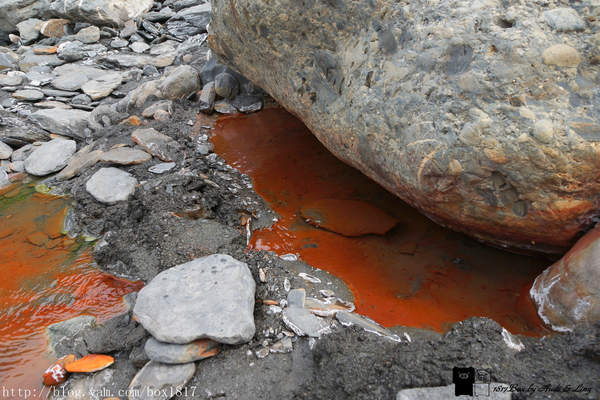 【南投。仁愛】野溪溫泉。精英溫泉。塔羅灣溪。情人吊橋