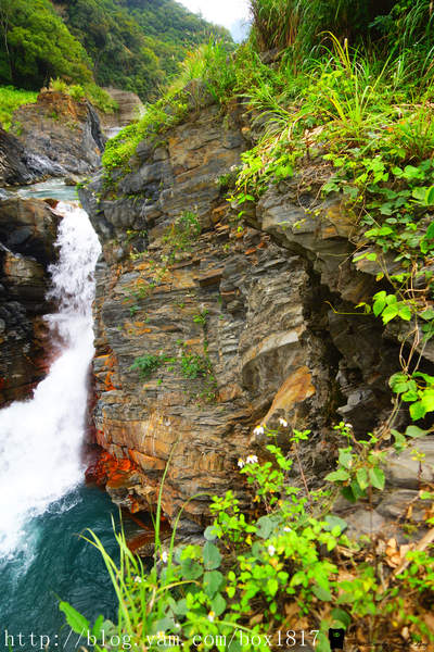 【南投。仁愛】精英瀑布。攔沙壩。野溪溫泉。精英溫泉。塔羅灣溪