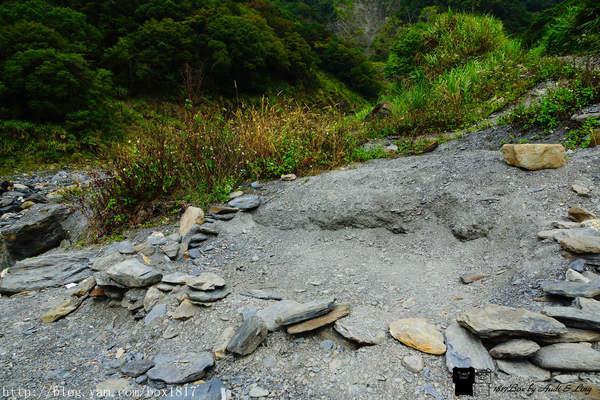 【南投。仁愛】野溪溫泉。精英溫泉。塔羅灣溪。情人吊橋