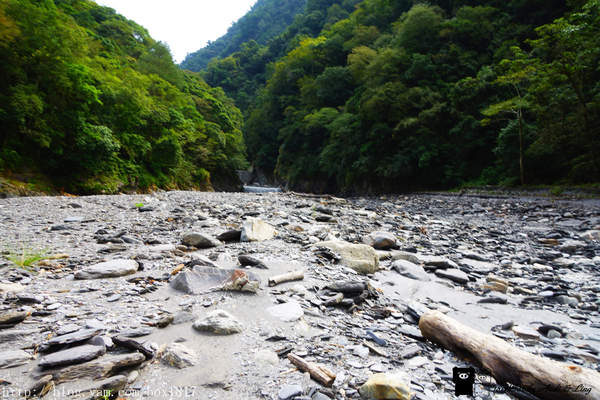 【南投。仁愛】野溪溫泉。精英溫泉。塔羅灣溪。情人吊橋