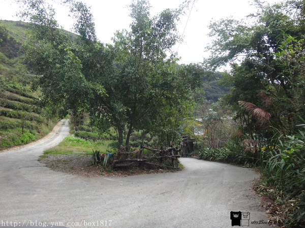 【南投。仁愛】野溪溫泉。精英溫泉。塔羅灣溪。情人吊橋