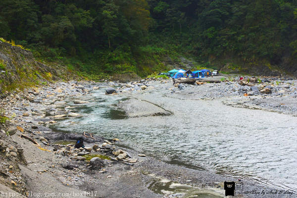 【南投。仁愛】野溪溫泉。精英溫泉。塔羅灣溪。情人吊橋