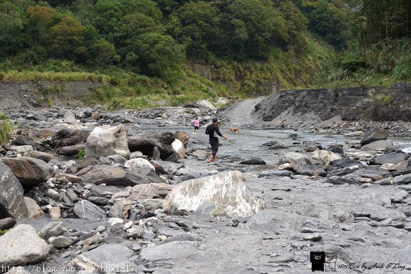 【南投。仁愛】野溪溫泉。精英溫泉。塔羅灣溪。情人吊橋