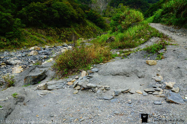 【南投。仁愛】野溪溫泉。精英溫泉。塔羅灣溪。情人吊橋