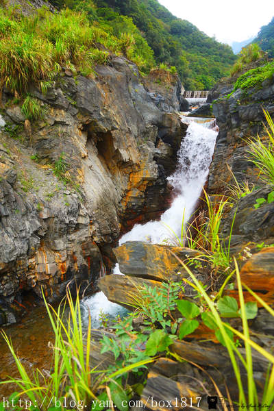 【南投。仁愛】精英瀑布。攔沙壩。野溪溫泉。精英溫泉。塔羅灣溪