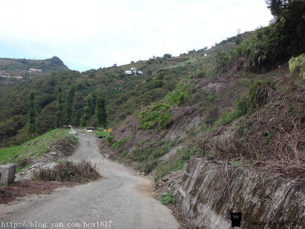 【南投。仁愛】野溪溫泉。精英溫泉。塔羅灣溪。情人吊橋