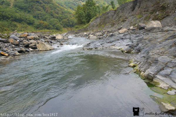 【南投。仁愛】野溪溫泉。精英溫泉。塔羅灣溪。情人吊橋