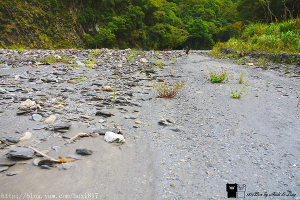 【南投。仁愛】野溪溫泉。精英溫泉。塔羅灣溪。情人吊橋