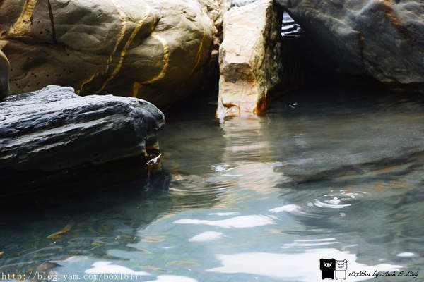 【南投。仁愛】野溪溫泉。精英溫泉。塔羅灣溪。情人吊橋