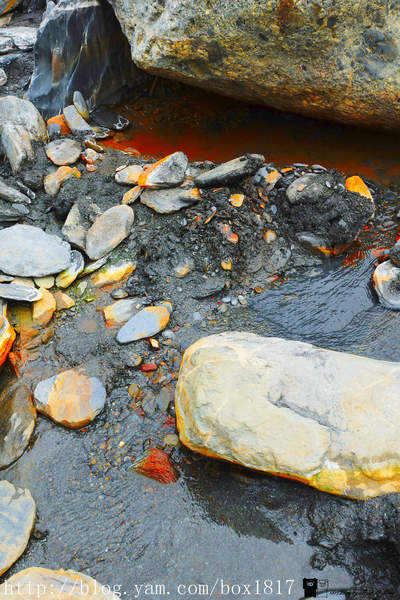 【南投。仁愛】野溪溫泉。精英溫泉。塔羅灣溪。情人吊橋