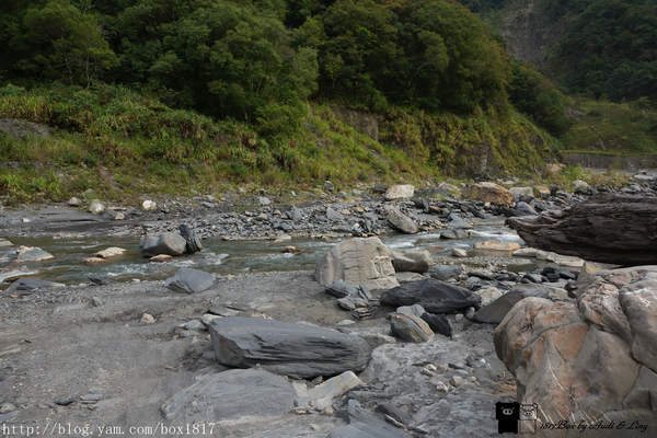 【南投。仁愛】野溪溫泉。精英溫泉。塔羅灣溪。情人吊橋