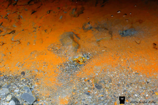 【南投。仁愛】野溪溫泉。精英溫泉。塔羅灣溪。情人吊橋