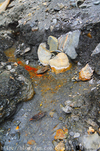 【南投。仁愛】野溪溫泉。精英溫泉。塔羅灣溪。情人吊橋