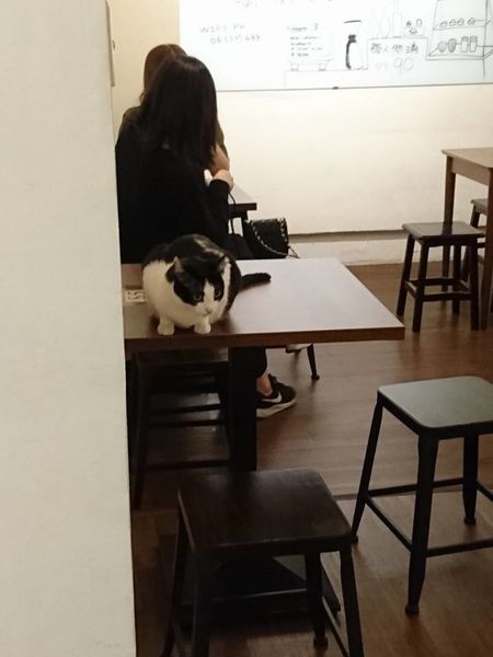 17992159_1472714196093598_4750562265791622143_n