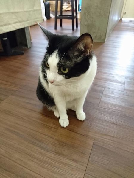 17904313_1472713956093622_8412224676223427067_n