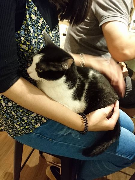 17991810_1472712976093720_4707000611691611511_n