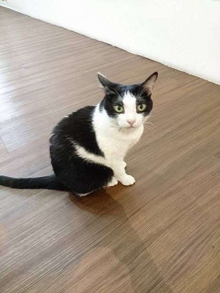 17951503_1472714216093596_5440311590163279506_n