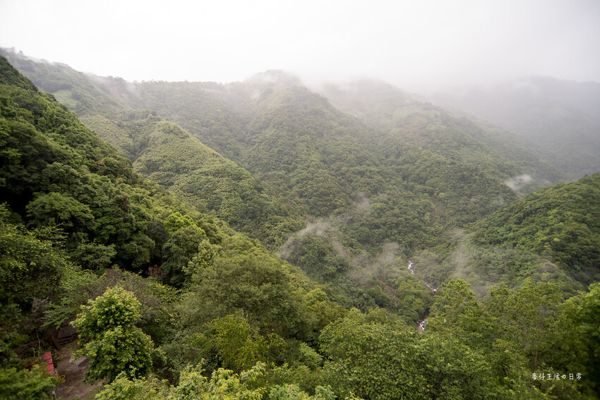 桃園拉拉山住宿推薦！絕美山谷景觀谷點咖啡民宿一泊三食，享受大自然美景。