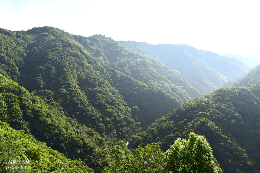 桃園拉拉山住宿推薦！絕美山谷景觀谷點咖啡民宿一泊三食，享受大自然美景。