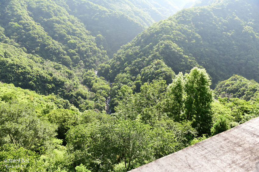 桃園拉拉山住宿推薦！絕美山谷景觀谷點咖啡民宿一泊三食，享受大自然美景。