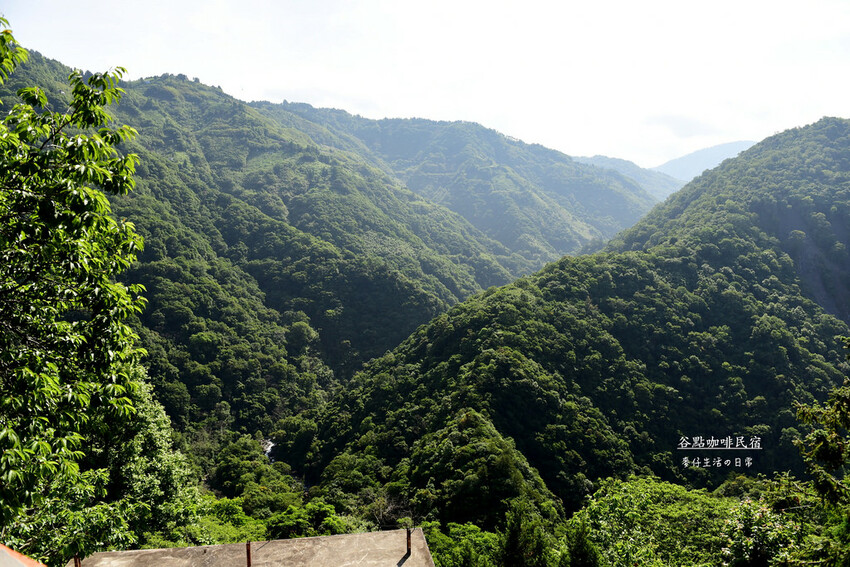 桃園拉拉山住宿推薦！絕美山谷景觀谷點咖啡民宿一泊三食，享受大自然美景。