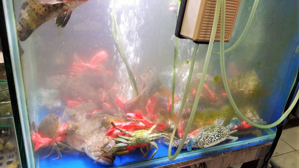 20160912_182230.jpg 20160912_182230.jpg